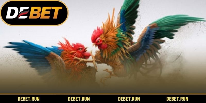 Màu mạng gà và ý nghĩa phong thủy