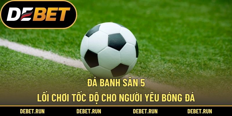 Đá Banh Sân 5 – Lối Chơi Tốc Độ Cho Người Yêu Bóng Đá