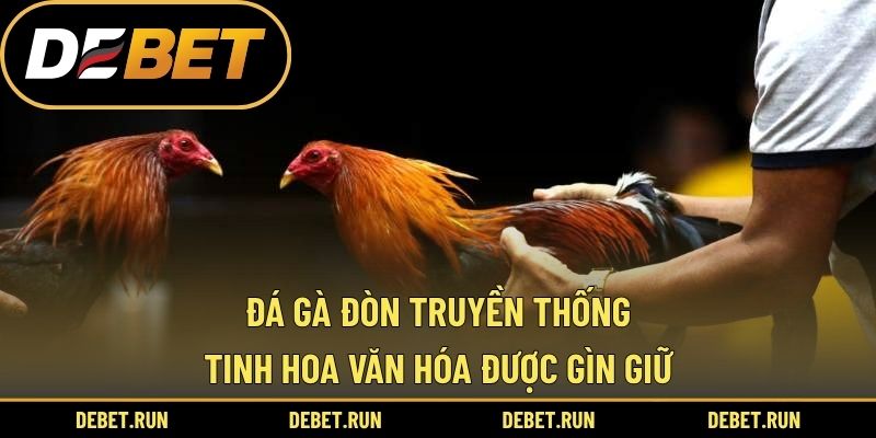 Đá Gà Đòn Truyền Thống – Tinh Hoa Văn Hóa Được Gìn Giữ
