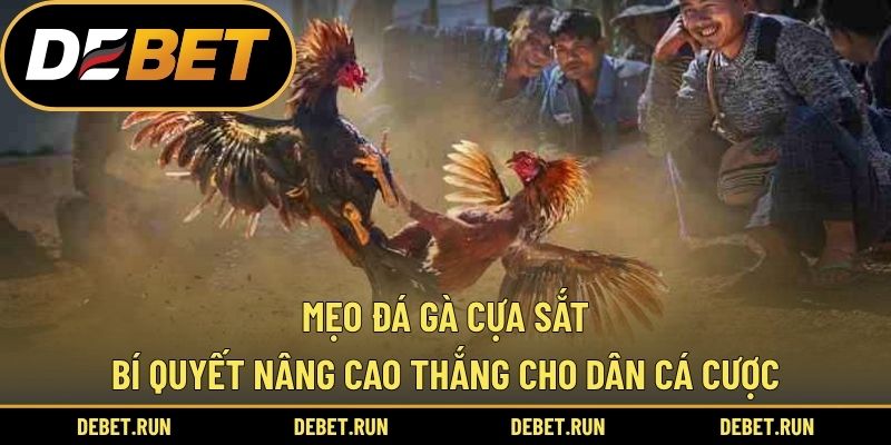 Mẹo Đá Gà Cựa Sắt – Bí Quyết Nâng Cao Thắng Cho Dân Cá Cược