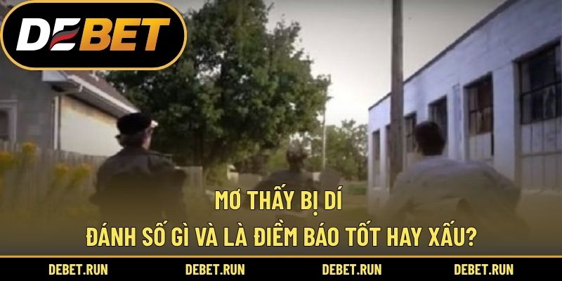 Mơ Thấy Bị Dí Đánh Số Gì Và Là Điềm Báo Tốt Hay Xấu?